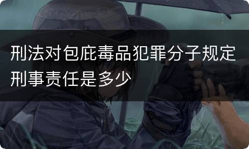 刑法对包庇毒品犯罪分子规定刑事责任是多少