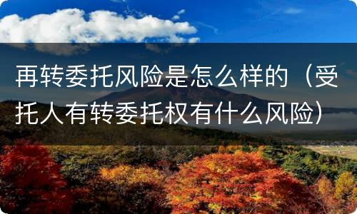 再转委托风险是怎么样的（受托人有转委托权有什么风险）