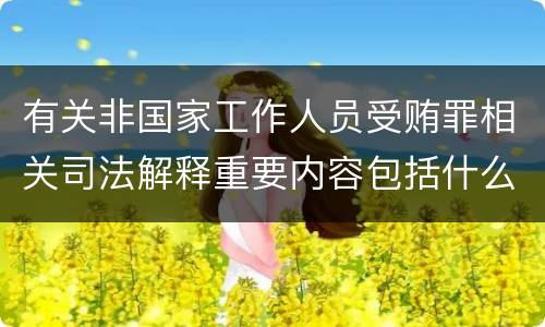 有关非国家工作人员受贿罪相关司法解释重要内容包括什么