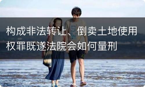 构成非法转让、倒卖土地使用权罪既遂法院会如何量刑