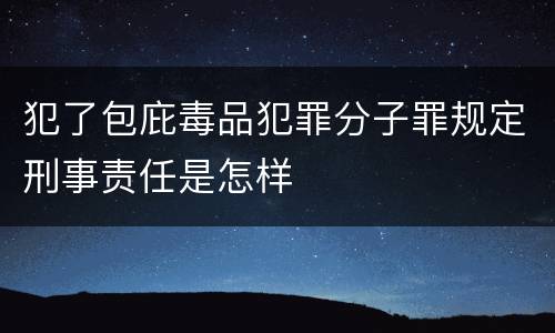 犯了包庇毒品犯罪分子罪规定刑事责任是怎样