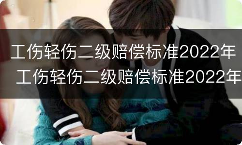 工伤轻伤二级赔偿标准2022年 工伤轻伤二级赔偿标准2022年度
