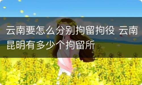 云南要怎么分别拘留拘役 云南昆明有多少个拘留所