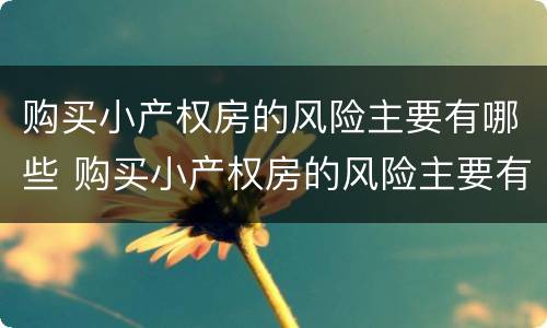 购买小产权房的风险主要有哪些 购买小产权房的风险主要有哪些方面