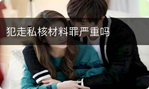 犯走私核材料罪严重吗