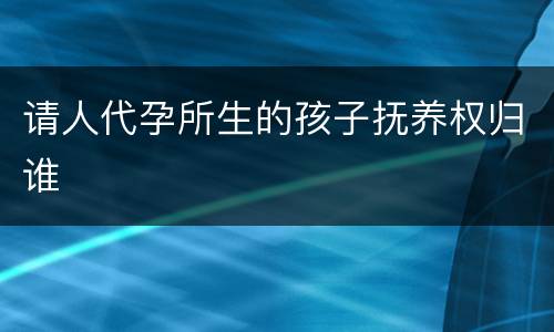 请人代孕所生的孩子抚养权归谁
