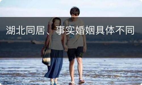 湖北同居、事实婚姻具体不同