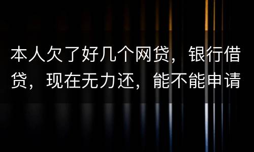 本人欠了好几个网贷，银行借贷，现在无力还，能不能申请破产