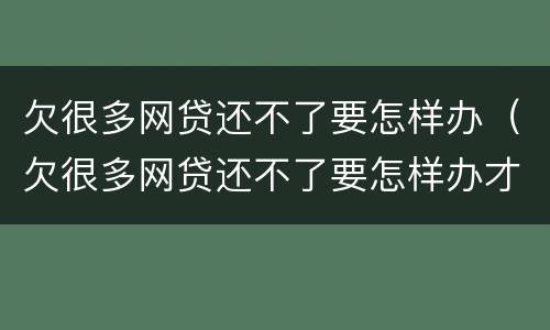 欠很多网贷还不了要怎样办（欠很多网贷还不了要怎样办才能还）