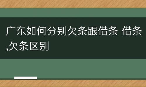 广东如何分别欠条跟借条 借条,欠条区别