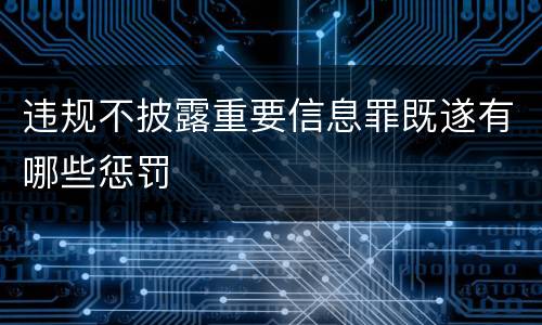 违规不披露重要信息罪既遂有哪些惩罚