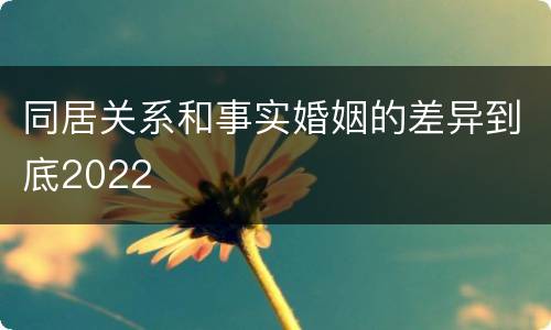 同居关系和事实婚姻的差异到底2022