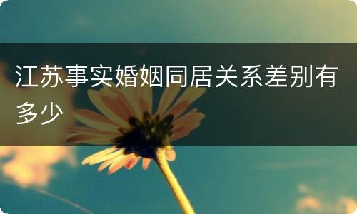 江苏事实婚姻同居关系差别有多少