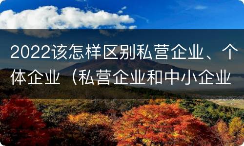 2022该怎样区别私营企业、个体企业（私营企业和中小企业）