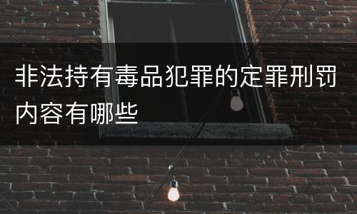 非法持有毒品犯罪的定罪刑罚内容有哪些