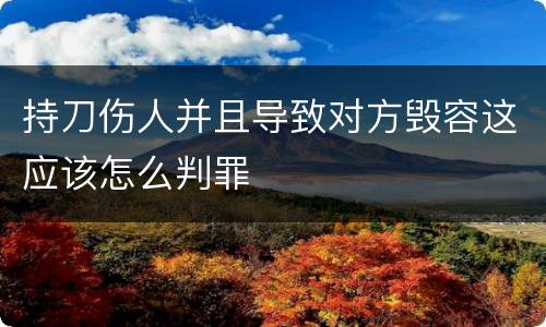 持刀伤人并且导致对方毁容这应该怎么判罪
