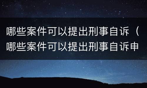哪些案件可以提出刑事自诉（哪些案件可以提出刑事自诉申请）