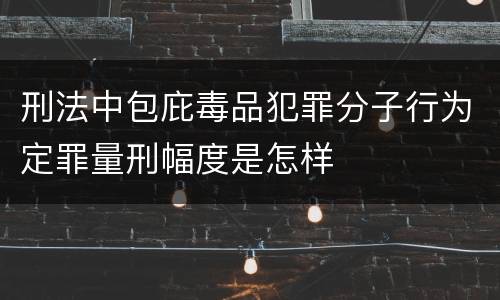 刑法中包庇毒品犯罪分子行为定罪量刑幅度是怎样