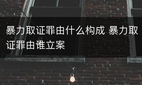 暴力取证罪由什么构成 暴力取证罪由谁立案