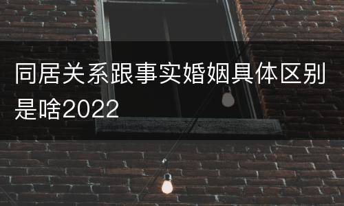 同居关系跟事实婚姻具体区别是啥2022