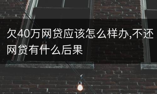 欠40万网贷应该怎么样办,不还网贷有什么后果