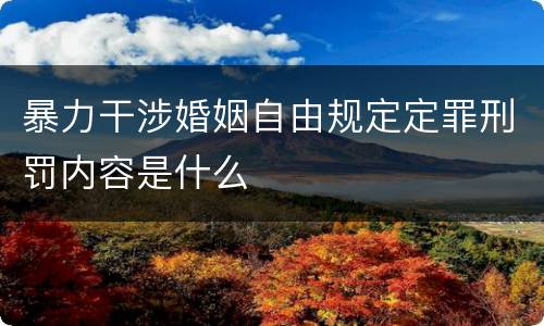 暴力干涉婚姻自由规定定罪刑罚内容是什么