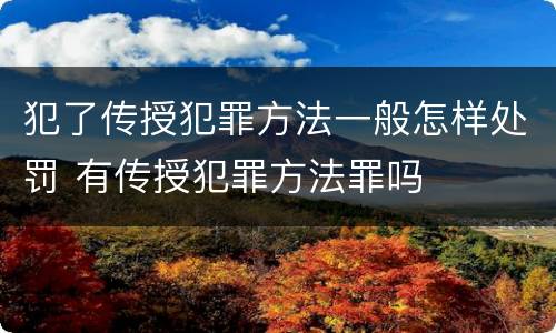 犯了传授犯罪方法一般怎样处罚 有传授犯罪方法罪吗