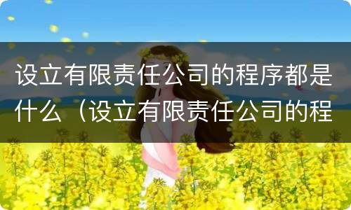 设立有限责任公司的程序都是什么（设立有限责任公司的程序都是什么内容）