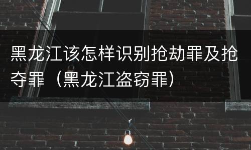黑龙江该怎样识别抢劫罪及抢夺罪（黑龙江盗窃罪）