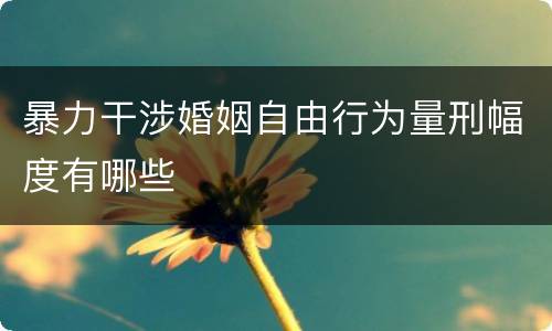 暴力干涉婚姻自由行为量刑幅度有哪些