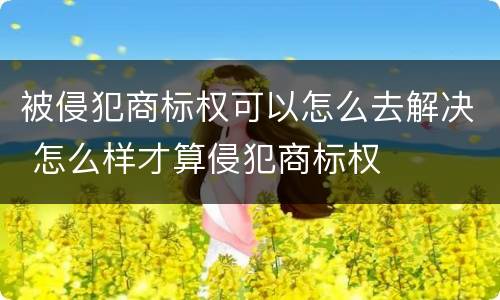 被侵犯商标权可以怎么去解决 怎么样才算侵犯商标权