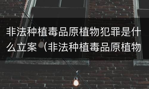 非法种植毒品原植物犯罪是什么立案（非法种植毒品原植物犯罪是什么立案依据）