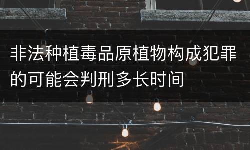 非法种植毒品原植物构成犯罪的可能会判刑多长时间