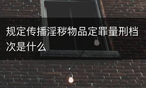规定传播淫秽物品定罪量刑档次是什么