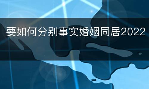 要如何分别事实婚姻同居2022