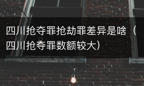 四川抢夺罪抢劫罪差异是啥（四川抢夺罪数额较大）