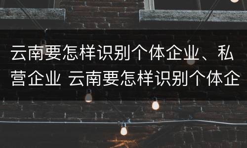 云南要怎样识别个体企业、私营企业 云南要怎样识别个体企业,私营企业呢