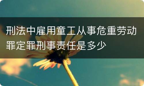 刑法中雇用童工从事危重劳动罪定罪刑事责任是多少