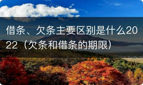 借条、欠条主要区别是什么2022（欠条和借条的期限）