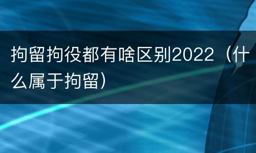 拘留拘役都有啥区别2022（什么属于拘留）