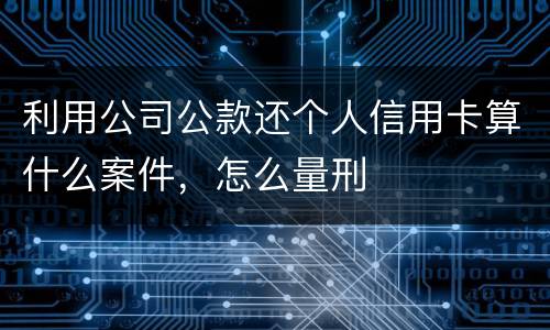 利用公司公款还个人信用卡算什么案件，怎么量刑