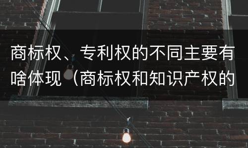 商标权、专利权的不同主要有啥体现（商标权和知识产权的区别）