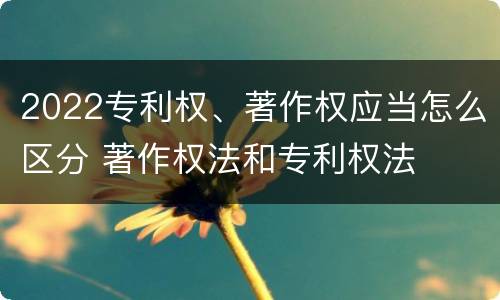 2022专利权、著作权应当怎么区分 著作权法和专利权法