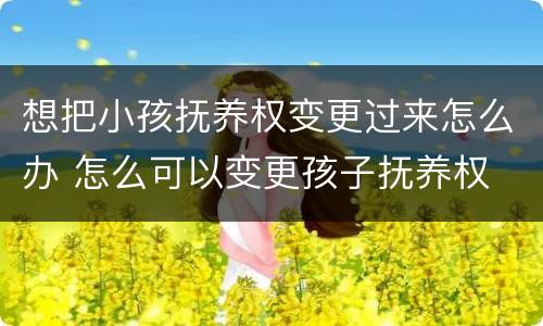 想把小孩抚养权变更过来怎么办 怎么可以变更孩子抚养权