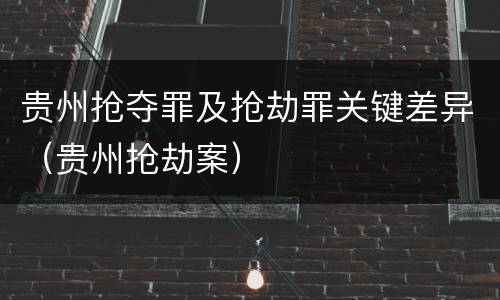 贵州抢夺罪及抢劫罪关键差异（贵州抢劫案）