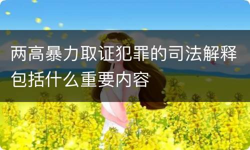 两高暴力取证犯罪的司法解释包括什么重要内容