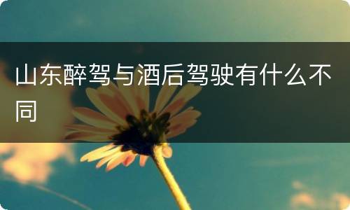 山东醉驾与酒后驾驶有什么不同