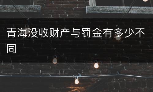 青海没收财产与罚金有多少不同