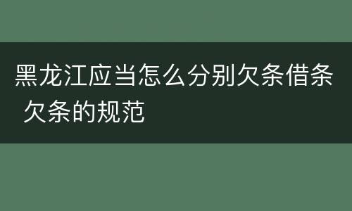 黑龙江应当怎么分别欠条借条 欠条的规范