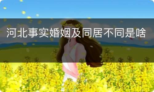 河北事实婚姻及同居不同是啥